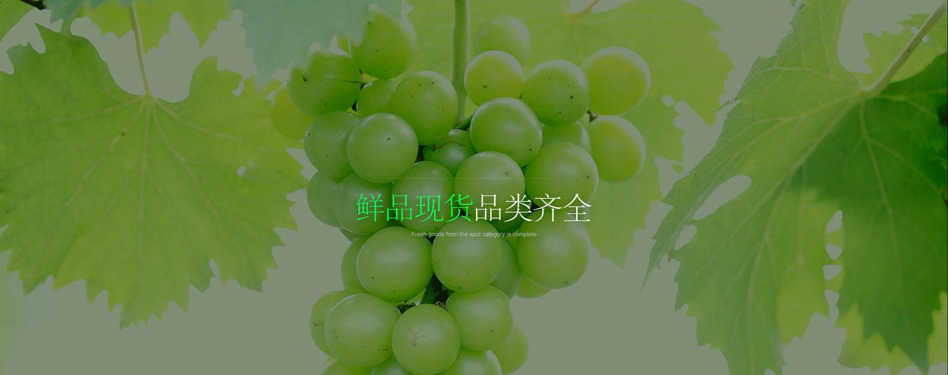 bitpie官网-比特派网站-比特派苹果下载
